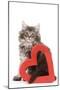 Norwegian Forest Kitten Sitting with Red Cut-Out Heart-null-Mounted Photographic Print