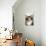 Norwegian Forest Silver and White Mackerel Tabby Cat-null-Photographic Print displayed on a wall