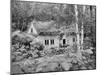 Norwegian House-null-Mounted Photographic Print