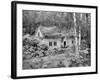 Norwegian House-null-Framed Photographic Print