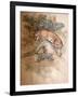 Norwegian Lynx, 1851-69-Joseph Wolf-Framed Giclee Print