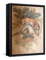 Norwegian Lynx, 1851-69-Joseph Wolf-Framed Stretched Canvas