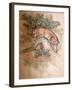 Norwegian Lynx, 1851-69-Joseph Wolf-Framed Giclee Print