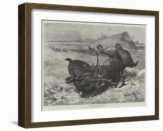 Norwegian Lynx Killing a Reindeer-null-Framed Giclee Print