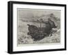 Norwegian Lynx Killing a Reindeer-null-Framed Giclee Print