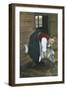 Norwegian Milk Goat-null-Framed Art Print