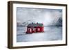 Norwegian Spirit-Philippe Sainte-Laudy-Framed Photographic Print