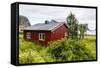 Norwegian Summer Homes in the Town of Vaeroya, Nordland, Norway, Scandinavia, Europe-Michael Nolan-Framed Stretched Canvas