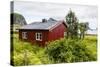Norwegian Summer Homes in the Town of Vaeroya, Nordland, Norway, Scandinavia, Europe-Michael Nolan-Stretched Canvas