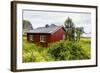 Norwegian Summer Homes in the Town of Vaeroya, Nordland, Norway, Scandinavia, Europe-Michael Nolan-Framed Photographic Print