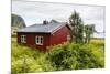 Norwegian Summer Homes in the Town of Vaeroya, Nordland, Norway, Scandinavia, Europe-Michael Nolan-Mounted Photographic Print