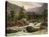 Norwegian Waterfall, 1840-Thomas Fearnley-Stretched Canvas
