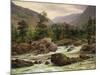 Norwegian Waterfall, 1840-Thomas Fearnley-Mounted Giclee Print