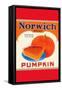 Norwich Brand Pumpkin-null-Framed Stretched Canvas