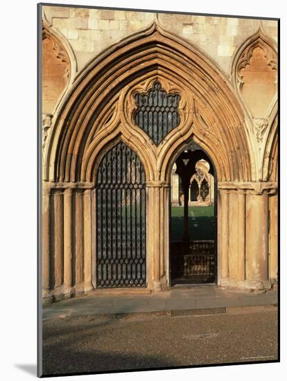Norwich Cathedral Cloisters, Dating from 13th to 15th Centuries, Norwich, Norfolk, England-Nedra Westwater-Mounted Photographic Print