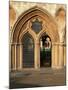 Norwich Cathedral Cloisters, Dating from 13th to 15th Centuries, Norwich, Norfolk, England-Nedra Westwater-Mounted Photographic Print