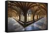 Norwich Cathedral Cloisters, Holy and Undivided Trinity Anglican Cathedral in Norwich-Neale Clark-Framed Stretched Canvas