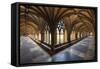 Norwich Cathedral Cloisters, Holy and Undivided Trinity Anglican Cathedral in Norwich-Neale Clark-Framed Stretched Canvas