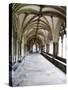 Norwich Cathedral Cloisters, Norwich, Norfolk, England, United Kingdom, Europe-Mark Sunderland-Stretched Canvas