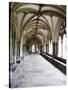 Norwich Cathedral Cloisters, Norwich, Norfolk, England, United Kingdom, Europe-Mark Sunderland-Stretched Canvas