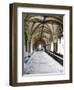 Norwich Cathedral Cloisters, Norwich, Norfolk, England, United Kingdom, Europe-Mark Sunderland-Framed Photographic Print