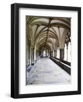 Norwich Cathedral Cloisters, Norwich, Norfolk, England, United Kingdom, Europe-Mark Sunderland-Framed Photographic Print