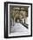 Norwich Cathedral Cloisters, Norwich, Norfolk, England, United Kingdom, Europe-Mark Sunderland-Framed Photographic Print