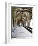 Norwich Cathedral Cloisters, Norwich, Norfolk, England, United Kingdom, Europe-Mark Sunderland-Framed Photographic Print