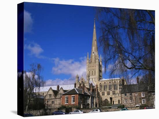Norwich Cathedral from the Close, Norwich, Norfolk, England, United Kingdom-Jean Brooks-Stretched Canvas
