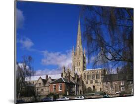 Norwich Cathedral from the Close, Norwich, Norfolk, England, United Kingdom-Jean Brooks-Mounted Photographic Print