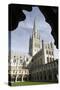 Norwich Cathedral, Norfolk, 2010-Peter Thompson-Stretched Canvas