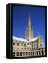 Norwich Cathedral, Norwich, Norfolk, East Anglia, England-Steve Vidler-Framed Stretched Canvas