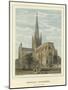 Norwich Cathedral, South East View-John Francis Salmon-Mounted Giclee Print