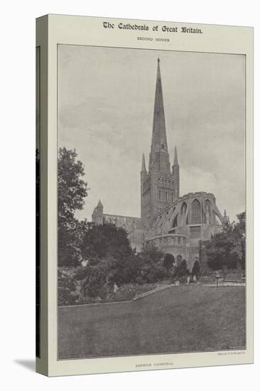 Norwich Cathedral-null-Stretched Canvas