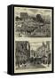 Norwich Illustrated-null-Framed Stretched Canvas