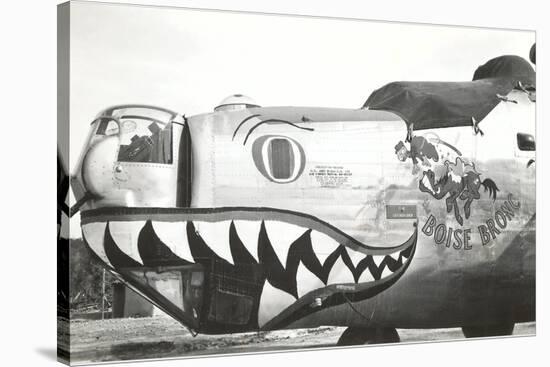 Nose Art, Boise Bronc-null-Stretched Canvas