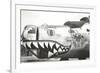 Nose Art, Boise Bronc-null-Framed Art Print