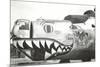 Nose Art, Boise Bronc-null-Mounted Art Print