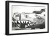 Nose Art, Boise Bronc-null-Framed Art Print