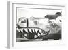 Nose Art, Boise Bronc-null-Framed Art Print