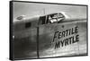 Nose Art, Fertile Myrtle-null-Framed Stretched Canvas