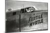 Nose Art, Fertile Myrtle-null-Mounted Art Print