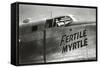 Nose Art, Fertile Myrtle-null-Framed Stretched Canvas