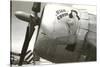 Nose Art, High Cover, Pin-Up-null-Stretched Canvas