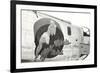 Nose Art, Lilas Marie, Pin-Up-null-Framed Premium Giclee Print