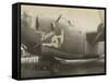 Nose Art on a B24 Liberator, c.1945-null-Framed Stretched Canvas