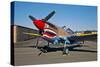 Nose Art on a Curtiss P-40E Warhawk-null-Stretched Canvas