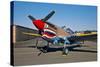 Nose Art on a Curtiss P-40E Warhawk-null-Stretched Canvas