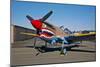 Nose Art on a Curtiss P-40E Warhawk-null-Mounted Photographic Print