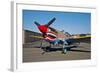 Nose Art on a Curtiss P-40E Warhawk-null-Framed Photographic Print